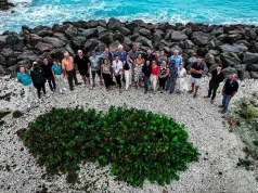 MSC Foundation Mobilizes Experts to Chart 2030 Roadmap for Coral Conservation in The Bahamas