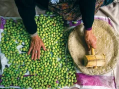 Celebrate the Timeless Olive Legacy in Türkiye This Harvest Season