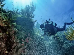 Divine Diving in San Salvador, The Bahamas