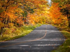 Scenic New England Road Trips New Residents Will Enjoy Autumn trees on the side of an empty road