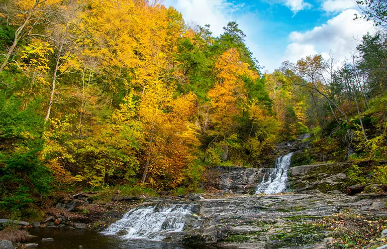 Waterfall over cliffs with yellow trees and green trees in autumn.