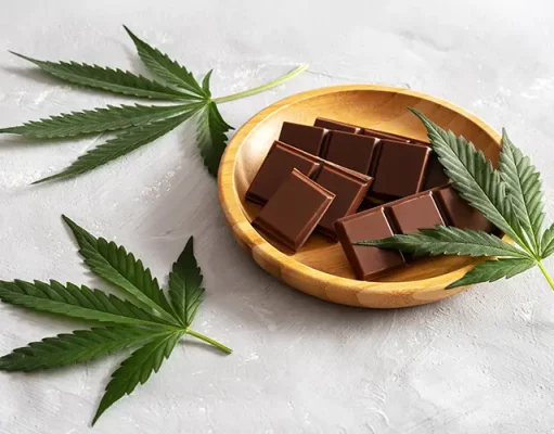 The Rise of Gourmet THC Chocolates: Combining Flavor with the Perfect High