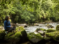 Embark on the ultimate authentic Māori experience in New Zealand