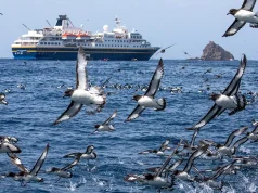 Heritage Expeditions and its Subantarctic Island Voyages Make Influential Travel Bible Condé Nast Traveler’s ‘The 25 Best Places to Go in 2025’ List