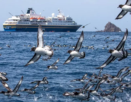 Heritage Expeditions and its Subantarctic Island Voyages Make Influential Travel Bible Condé Nast Traveler’s ‘The 25 Best Places to Go in 2025’ List