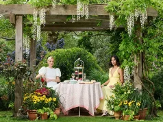 Enjoy a bucket list stay in the world’s top trending destination with Jumeirah Carlton Tower