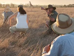 How to Plan the Perfect African Safari Tour: Top Tips Everyone Must Know for an Unforgettable Adventure