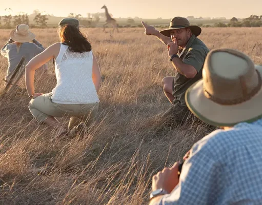 How to Plan the Perfect African Safari Tour: Top Tips Everyone Must Know for an Unforgettable Adventure