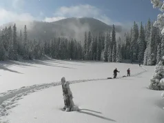 A Winter Weekend Getaway: Detroit Edition