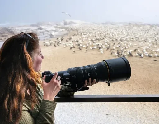Heritage Expeditions Announces Wildlife Photography Workshops with Award-winning Photographer Rachel Bigsby