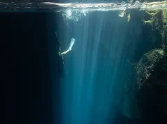 Venturing To The Mayan Underworld: An Expedition To Merida