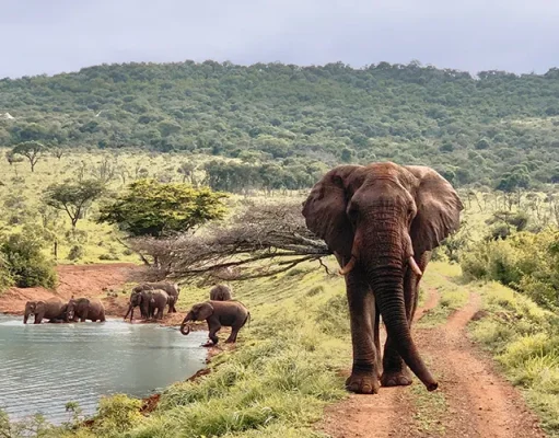 Jumeirah Moves Into Africa With Exclusive Island & Private Safari Reserve
