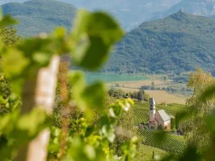 Discover the Hidden Gem of Tramin, Italy: A Must-Visit Destination for Wine and Adventure Lovers