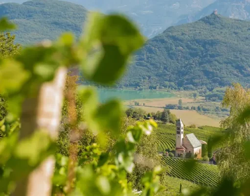 Discover the Hidden Gem of Tramin, Italy: A Must-Visit Destination for Wine and Adventure Lovers