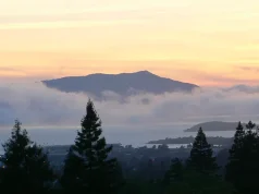 Must-See Places When You’re Visiting Marin County for the Weekend