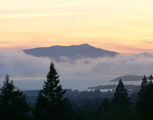 Must-See Places When You’re Visiting Marin County for the Weekend