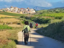 Group of pilgrims walking along the Camino de Santiago in Spain