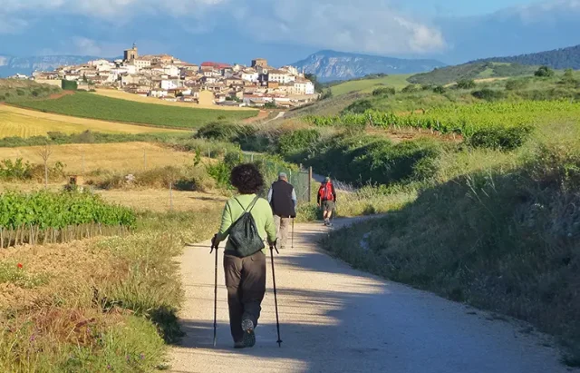 Group of pilgrims walking along the Camino de Santiago in Spain