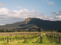 Vineyard Vacations: Relax in Wine Country