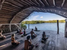 Planning a Wellness Retreat? TourHero Reviews Top 5 Tips for Success