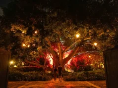 Trade Snow for Sun: The Ultimate Valentine’s Day Escape at Dorado Beach a Ritz-Carlton Reserve