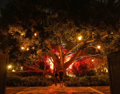 Trade Snow for Sun: The Ultimate Valentine’s Day Escape at Dorado Beach a Ritz-Carlton Reserve