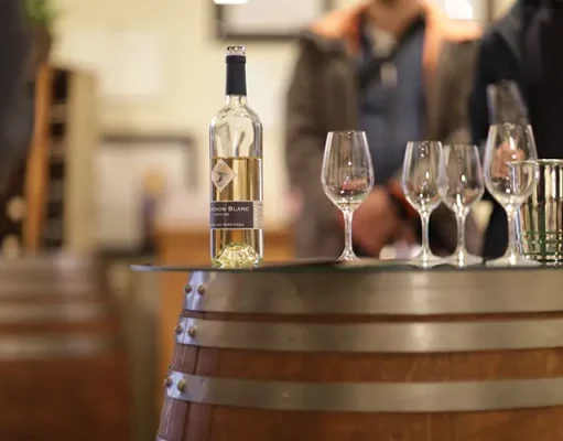 Geneva’s tapestry of vineyards marks a new era of oenotourism