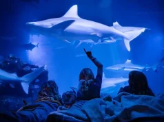 ‘Sleep in the Deep’ at Maui Ocean Center