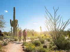 How to Enjoy Scottsdale’s Outdoor Activities Like a Local