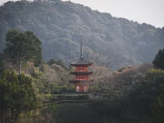 5 Things to Do First When You Land in Japan