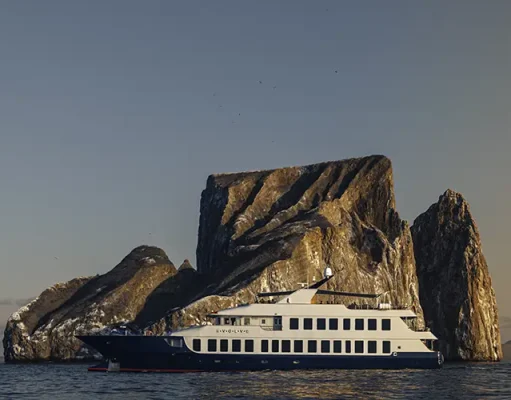 Ecoventura Announces New 2025 Themed Departures Available Onboard their Mega-Yacht Expedition Fleet