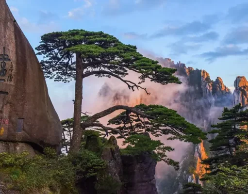 Huangshan emerges as top destination for overseas tourists exploring China