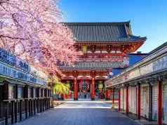 Cherry Blossoms by Moonlight: A Nighttime Hanami Experience – Enjoy the Ethereal Beauty of Sakura Under Illuminated Trees