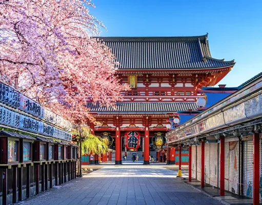 Where to Stay in Tokyo: The Ultimate Guide for Every Traveler