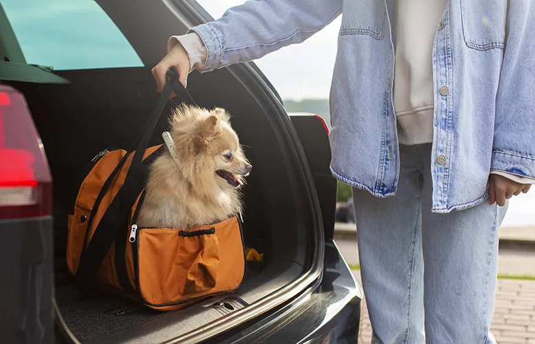 front-view-owner-holding-bag-with-dog copy