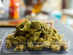 Beyond the Basics: What Makes an Exotic Weed Strain Stand Out?