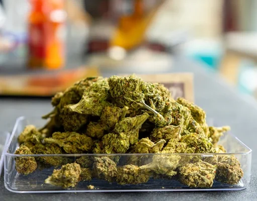 Beyond the Basics: What Makes an Exotic Weed Strain Stand Out?