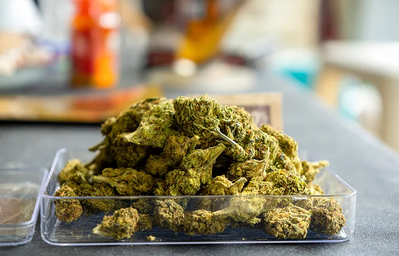 marijuana-and-cannabis-buds-medical-marijuana-flo-2024-05-27-02-39-06-utc copy