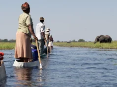 Acacia Africa Gears Up for a Safari Boom with New Botswana Offerings