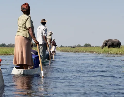 Acacia Africa Gears Up for a Safari Boom with New Botswana Offerings