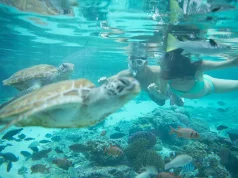 What’s New in Tahiti: Fresh Stays, Adventure, and Dining Delights