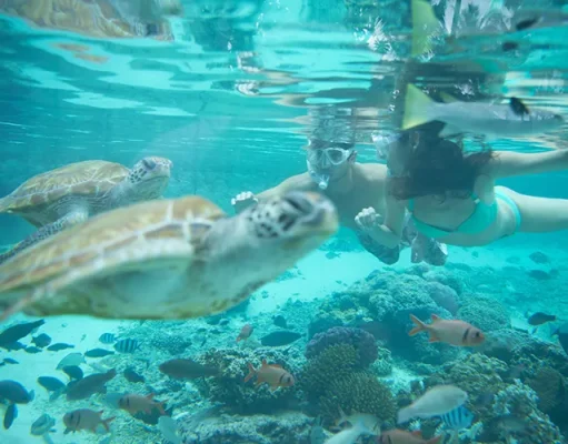 What’s New in Tahiti: Fresh Stays, Adventure, and Dining Delights