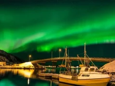 Private Arctic Expeditions: Discover Norway’s Wildlife in Luxury Style