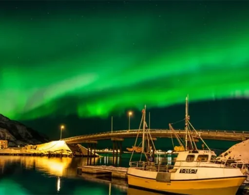 Private Arctic Expeditions: Discover Norway’s Wildlife in Luxury Style