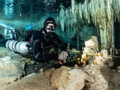 Chronicle of a Wonderful Day Diving in the Cenotes