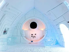 Cultivating Curiosity: Discover Unique Experiences at Hotels and Resorts Globally!