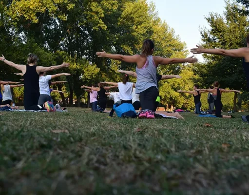 Exploring Wellness in Georgia: From Natural Springs to Medical Marijuana