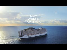 Drew Barrymore is named the Godmother of MSC World America