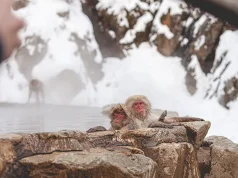 The Best Holiday Destinations for Unique Things to Do