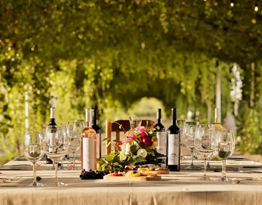 Ultra-Luxury Wine Experience with Grand Velas Boutique Los Cabos